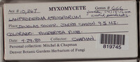 Image Associated With the Occurence